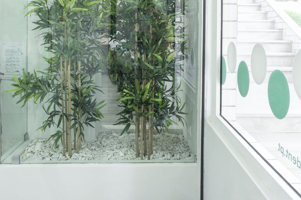 jardim interior clinica dentária